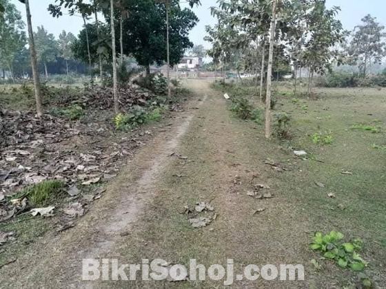 ১.২৫ বিঘা জমি বিক্রি হবে